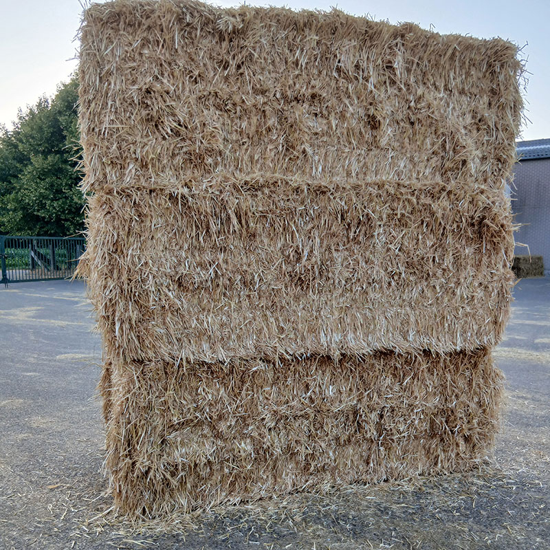 Groothandel  Gerste stro, Loos Fourage Essen